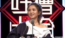 苏醒何洁爆料了吗视频播放,揭秘娱乐圈惊人内幕
