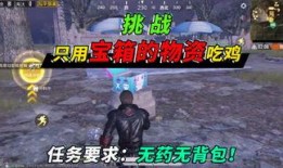 蜜獾突击手新版爆料视频,揭秘神秘技能与战术革新