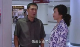一主二仆电视剧在线观看,权谋与忠诚的宫廷较量