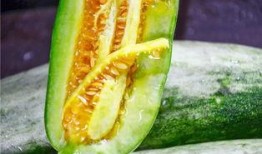 网红丽丽吃瓜,一场吃瓜盛宴背后的故事