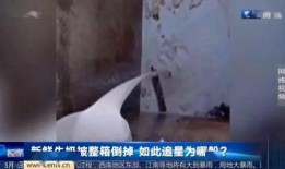 长沙盗墓贼自己爆料视频,揭秘古墓盗掘黑幕