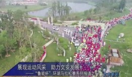 留坝县导游爆料案例视频,一场真实案例引发的行业深思