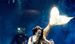 现代美人鱼在线观看,现代美人鱼在线观影之旅