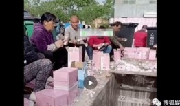 吃瓜日报娱乐八卦图片,揭秘娱乐圈最新八卦，图解明星幕后故事
