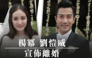 带你娱乐圈吃大瓜